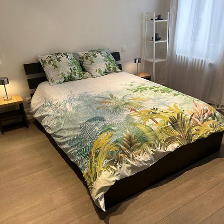 Hotel Salutho Sélestat Zewnętrze zdjęcie